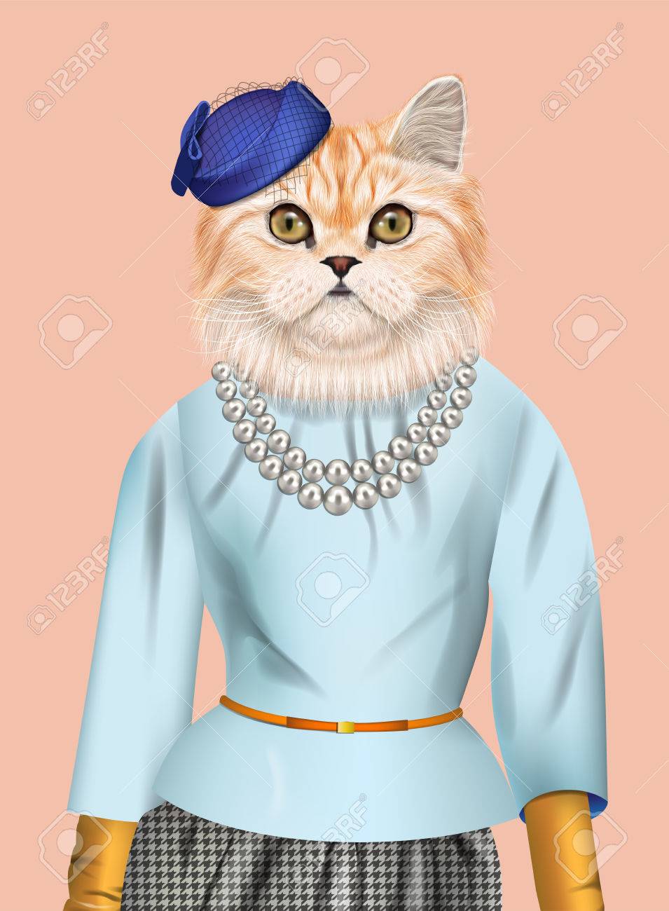 Gato