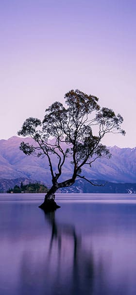 Wallpaper Para Celular